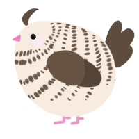 A cream and bark chicken with a bar pattern