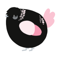 A black and rose chicken with a neck-band pattern