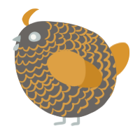 A grey and orange chicken with a lace pattern