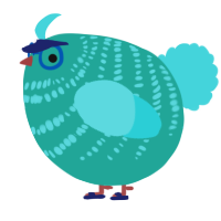 A turquoise and aqua chicken with a bar pattern