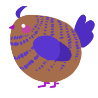 A brown and indigo chicken with a bar pattern