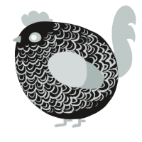 A sable and silver chicken with a double-lace pattern
