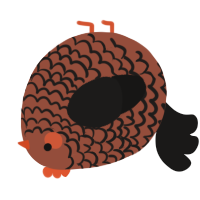 A russet and sable chicken with a lace pattern
