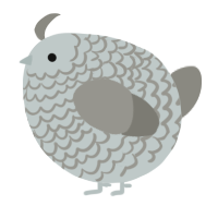 A silver and ash chicken with a lace pattern