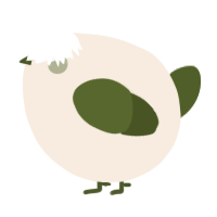A cream and olive chicken