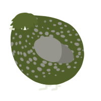 A olive and ash chicken with a speckle pattern