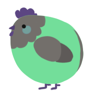 A spring and grey chicken with a head pattern