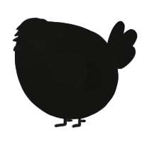A black chicken with a head pattern