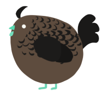 A bark and sable chicken with a half-lace pattern