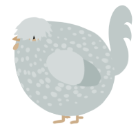 A silver chicken with a speckle pattern