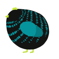 A black and teal chicken with a bar pattern