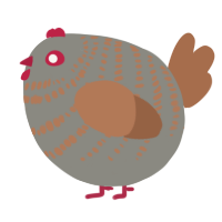 A ash and brown chicken with a bar pattern