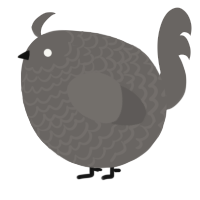 A grey chicken with a lace pattern