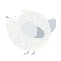 A white and mist chicken with a double-lace pattern