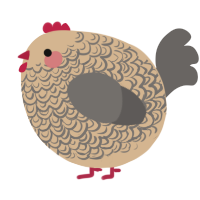 A beige and grey chicken with a double-lace pattern
