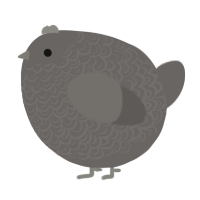 A grey chicken with a double-lace pattern
