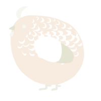 A cream and white chicken with a half-lace pattern