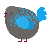 A grey and sky chicken with a half-lace pattern