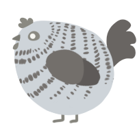 A mist and grey chicken with a bar pattern
