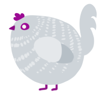 A mist chicken with a bar pattern
