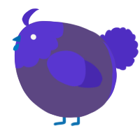 A overcast and indigo chicken with a head pattern