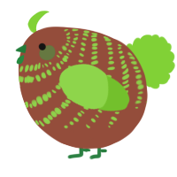 A russet and grass chicken with a bar pattern