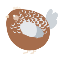 A brown and mist chicken with a half-lace pattern
