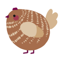 A brown and beige chicken with a bar pattern