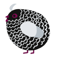 A black and mist chicken with a lace pattern