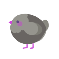 A grey and ash chicken with a head pattern