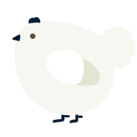 A white chicken