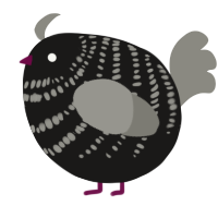 A sable and ash chicken with a bar pattern