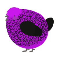 A amethyst and black chicken with a double-lace pattern
