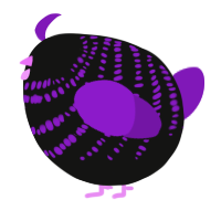 A black and violet chicken with a bar pattern