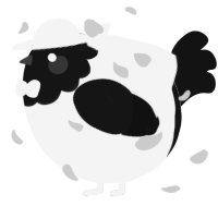 A white and black chicken with a head pattern