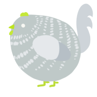 A silver and mist chicken with a bar pattern