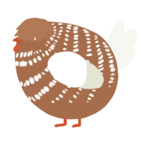 A brown and white chicken with a bar pattern