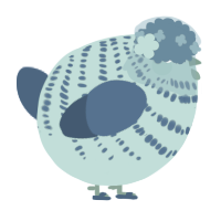 A aqua and ultramarine chicken with a bar pattern