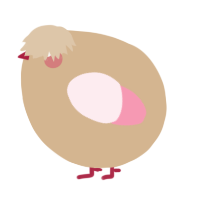 A beige and rose chicken