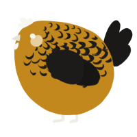 A ochre and sable chicken with a half-lace pattern