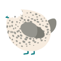 A cream and ash chicken with a speckle pattern