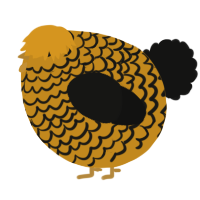 A ochre and black chicken with a lace pattern