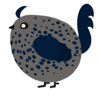 A grey and tumblr chicken with a speckle pattern