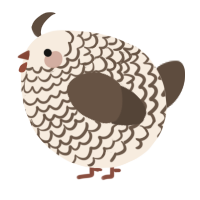 A cream and bark chicken with a lace pattern