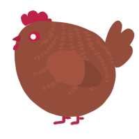 A russet chicken with a half-bar pattern