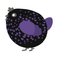A black and overcast chicken with a speckle pattern