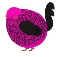 A fuchsia and sable chicken with a double-lace pattern