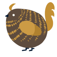A bark and gold chicken with a bar pattern