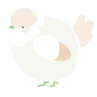 A white and cream chicken with a head pattern