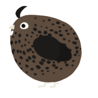A bark and sable chicken with a speckle pattern
